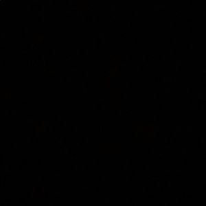 Meet your Posher, Ava